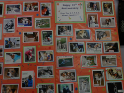 The 10th Annual B.O.N.E.S. Beagle Bash - What a Day!