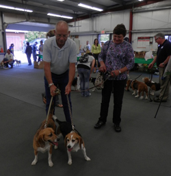 The 10th Annual B.O.N.E.S. Beagle Bash - What a Day!