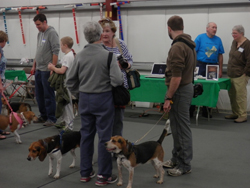 The 10th Annual B.O.N.E.S. Beagle Bash - What a Day!