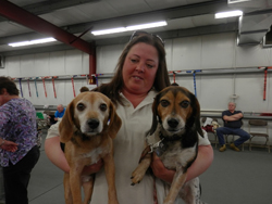 The 10th Annual B.O.N.E.S. Beagle Bash - What a Day!