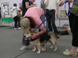 The 10th Annual B.O.N.E.S. Beagle Bash - What a Day!