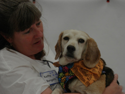 The 10th Annual B.O.N.E.S. Beagle Bash - What a Day!