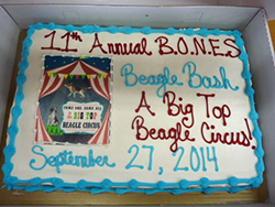 Fun at the 11th Annual B.O.N.E.S. Beagle Bash!