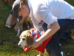 Fun at the 11th Annual B.O.N.E.S. Beagle Bash!