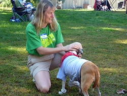 Fun at the 11th Annual B.O.N.E.S. Beagle Bash!
