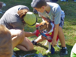 Fun at the 11th Annual B.O.N.E.S. Beagle Bash!