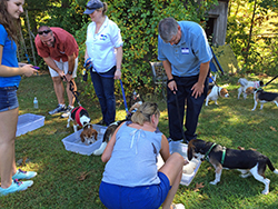 Fun at the 11th Annual B.O.N.E.S. Beagle Bash!