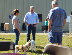 Fun at the 11th Annual B.O.N.E.S. Beagle Bash!