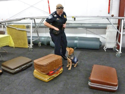 Fun at the 11th Annual B.O.N.E.S. Beagle Bash!