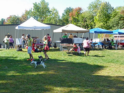 Fun at the 11th Annual B.O.N.E.S. Beagle Bash!