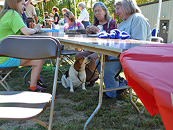 Fun at the 11th Annual B.O.N.E.S. Beagle Bash!