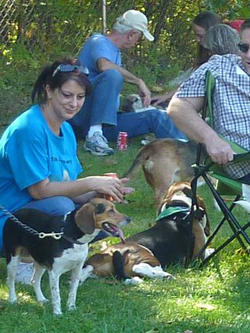Fun at the 11th Annual B.O.N.E.S. Beagle Bash!