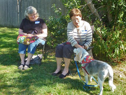 Fun at the 11th Annual B.O.N.E.S. Beagle Bash!