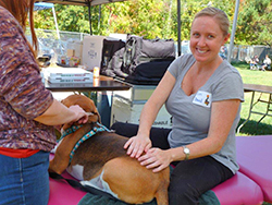 Fun at the 11th Annual B.O.N.E.S. Beagle Bash!