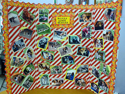 Fun at the 11th Annual B.O.N.E.S. Beagle Bash!