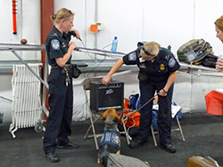 Fun at the 11th Annual B.O.N.E.S. Beagle Bash!