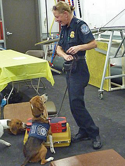 Fun at the 11th Annual B.O.N.E.S. Beagle Bash!