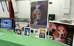 Fun at the 11th Annual B.O.N.E.S. Beagle Bash!