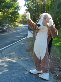 Fun at the 11th Annual B.O.N.E.S. Beagle Bash!