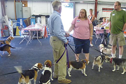 Fun at the 11th Annual B.O.N.E.S. Beagle Bash!