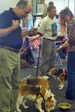 Fun at the 11th Annual B.O.N.E.S. Beagle Bash!