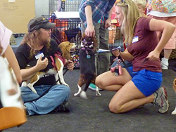 Fun at the 11th Annual B.O.N.E.S. Beagle Bash!