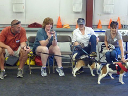 Fun at the 11th Annual B.O.N.E.S. Beagle Bash!