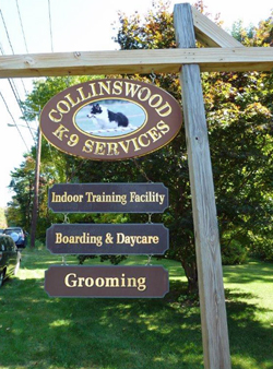 Fun at the 11th Annual B.O.N.E.S. Beagle Bash!