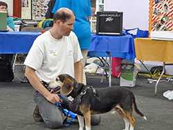 Fun at the 11th Annual B.O.N.E.S. Beagle Bash!