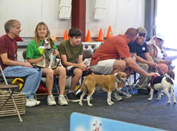 Fun at the 11th Annual B.O.N.E.S. Beagle Bash!