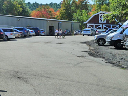 Fun at the 11th Annual B.O.N.E.S. Beagle Bash!