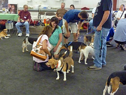 Fun at the 11th Annual B.O.N.E.S. Beagle Bash!