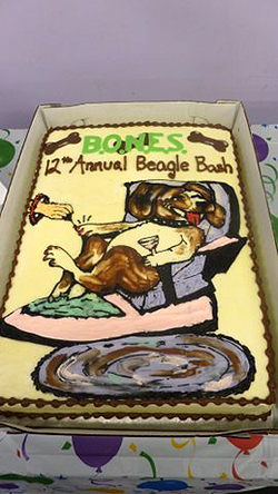 12th Annual B.O.N.E.S. Beagle Bash - A Treat for All!