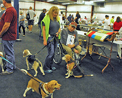12th Annual B.O.N.E.S. Beagle Bash - A Treat for All!