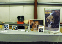 12th Annual B.O.N.E.S. Beagle Bash - A Treat for All!