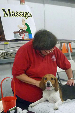 12th Annual B.O.N.E.S. Beagle Bash - A Treat for All!