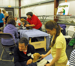 12th Annual B.O.N.E.S. Beagle Bash - A Treat for All!