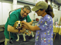 12th Annual B.O.N.E.S. Beagle Bash - A Treat for All!