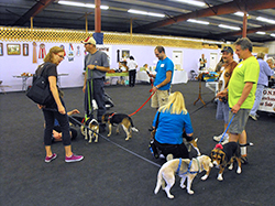 12th Annual B.O.N.E.S. Beagle Bash - A Treat for All!