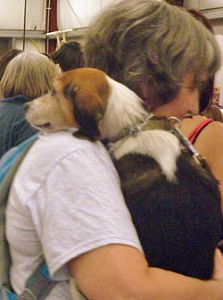 12th Annual B.O.N.E.S. Beagle Bash - A Treat for All!