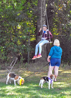 12th Annual B.O.N.E.S. Beagle Bash - A Treat for All!