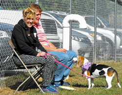 12th Annual B.O.N.E.S. Beagle Bash - A Treat for All!