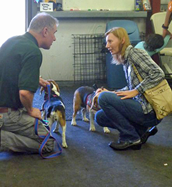 12th Annual B.O.N.E.S. Beagle Bash - A Treat for All!