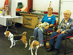 12th Annual B.O.N.E.S. Beagle Bash - A Treat for All!