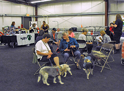 12th Annual B.O.N.E.S. Beagle Bash - A Treat for All!