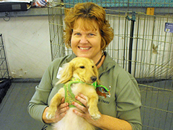 12th Annual B.O.N.E.S. Beagle Bash - A Treat for All!