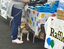 12th Annual B.O.N.E.S. Beagle Bash - A Treat for All!