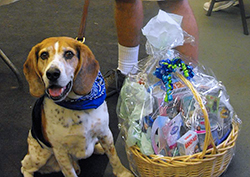 12th Annual B.O.N.E.S. Beagle Bash - A Treat for All!