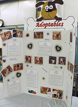 12th Annual B.O.N.E.S. Beagle Bash - A Treat for All!