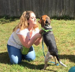 13th Annual B.O.N.E.S. Beagle Bash - Livin' the Beagle Life!